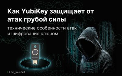 Как YubiKey защищает от атак грубой силы: технические особенности атак и шифрование ключом